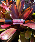 Body Oil Perfume Roxanne rollerball bottle nestled among vibrant pink and green bromeliad leaves