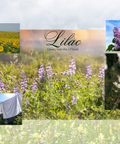 Lilac fragrance mood image: sunflower field and lupine meadow with the Lilac wordmark, plus inset photos of blooming lilac blossoms, linens on a clothesline, and a hand touching wildflowers