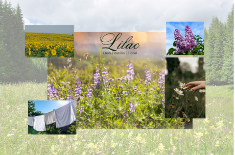 Lilac fragrance mood image: sunflower field and lupine meadow with the Lilac wordmark, plus inset photos of blooming lilac blossoms, linens on a clothesline, and a hand touching wildflowers